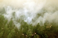 Thick smoke rises as a fire burns in a forest at Ogan Komering Ilir Regency, Indonesia's South Sumatra province, in 2015. | REUTERS