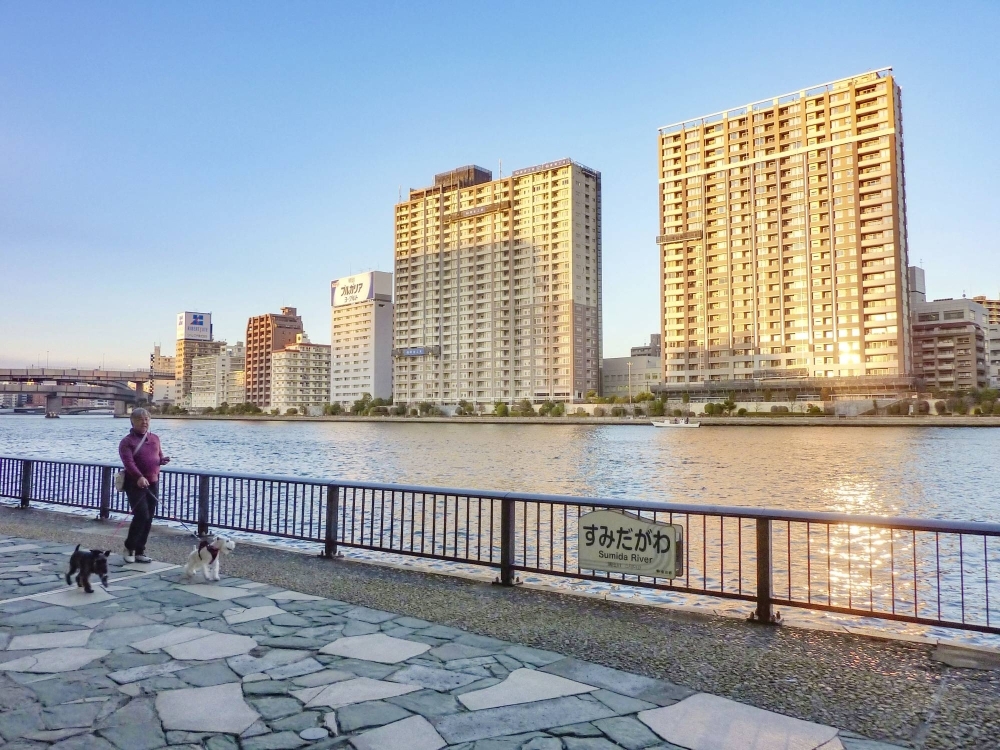 A promenade along the Sumida River in Tokyo in February 2020. The Tokyo Metropolitan Government has been trialing ferry services to make use of the city's waterways for commuting.