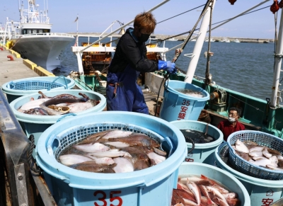 Fish are unloaded from a ship at a port in Soma, Fukushima Prefecture, in April 2021.