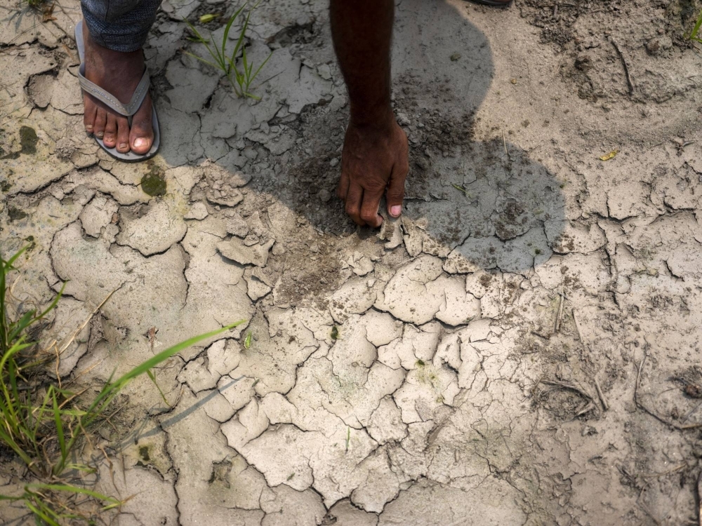 India is facing a potential future food crises due to severe climate change despite its per capita carbon emissions being lower than some countries such as Germany. 