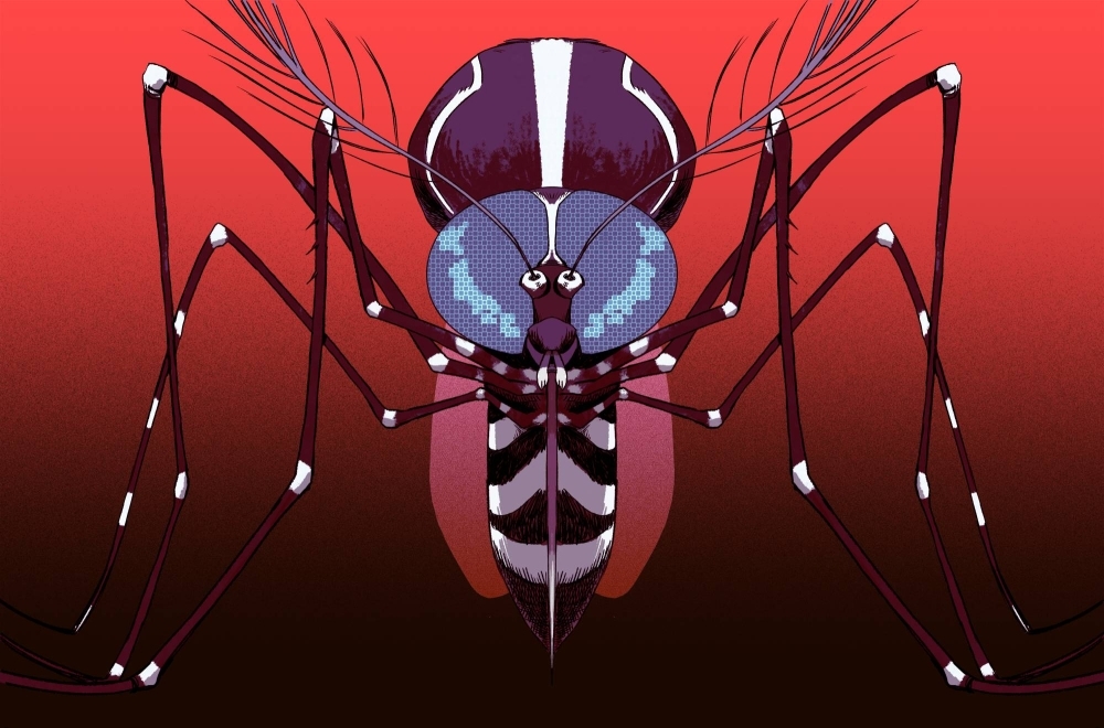 As synonymous with summer as fireworks and sweltering temperatures, mosquitoes are ubiquitous in Japan. However, will rising temperatures lead more dangerous species of the bug to call Japan home? 