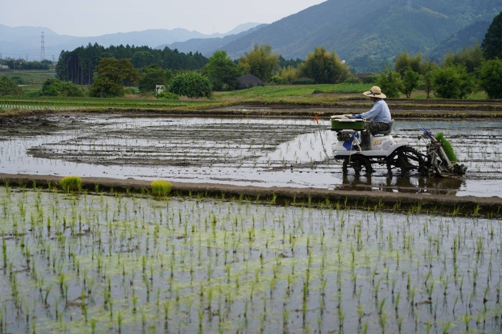 Japan's food self-sufficiency rate on a caloric intake basis stood at 38% in the fiscal year from April 2022, near a record low.