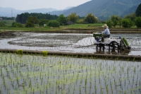 Japan's food self-sufficiency rate on a caloric intake basis stood at 38% in the fiscal year from April 2022, near a record low. | Bloomberg