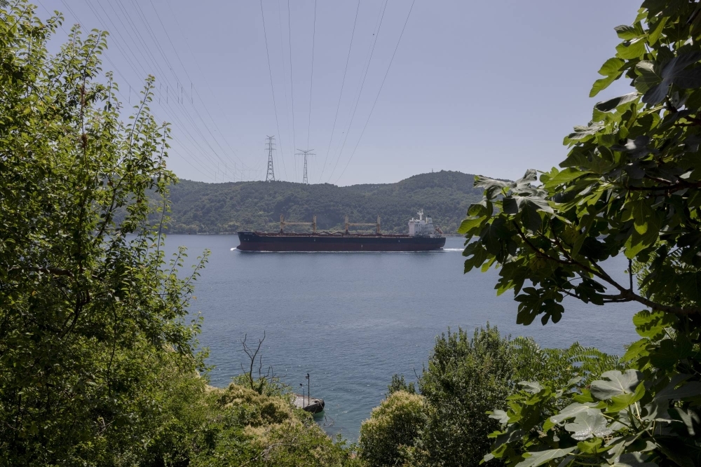 A ship passes through the Bosporus Straits near Istanbul.