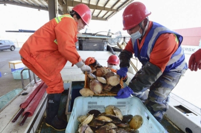 Japanese seafood is offloaded at a port in Taicang, a city in China's Jiangsu province, in March.