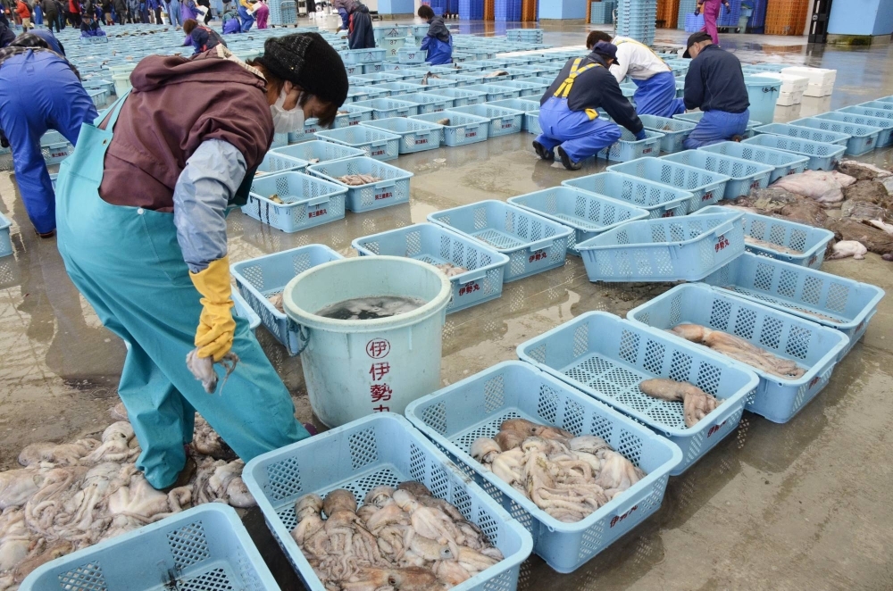 Seafood at a fishing port in the city of Soma, in Fukushima Prefecture