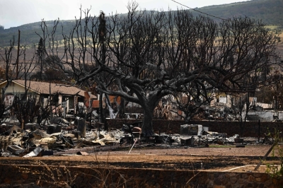 A burned tree stands by the remains of a destroyed house in the aftermath of the Maui wildfires in Lahaina, Hawaii, on Wednesday.