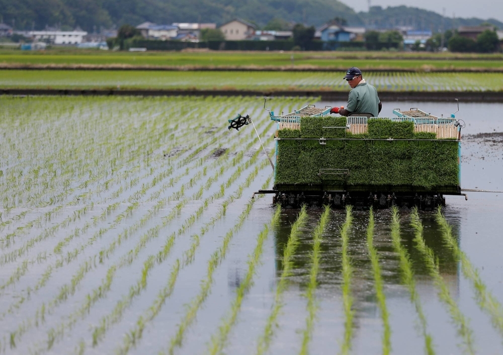 Rice planting in Ryugasaki, Ibaraki Prefecture. Satellite data could greatly improve how global farmers respond to climate change.