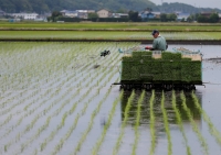 Rice planting in Ryugasaki, Ibaraki Prefecture. Satellite data could greatly improve how global farmers respond to climate change. | REUTERS