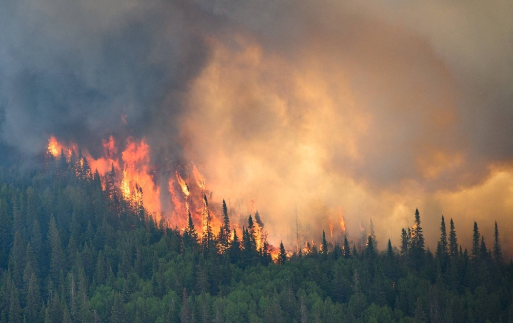 Flames reach upward along the edge of a wildfire near Mistissini, Quebec, in June.
