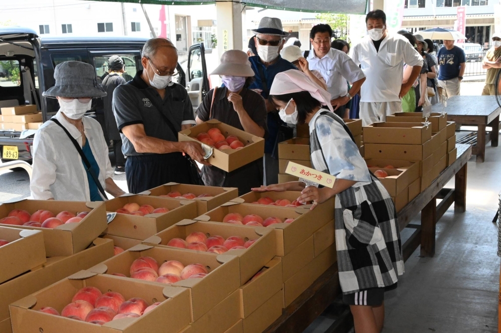 Visitors to Dateka Vegefuru, a farmers market in Koori, Fukushima Prefecture, line up to purchase Akatsuki peaches on Aug. 3.