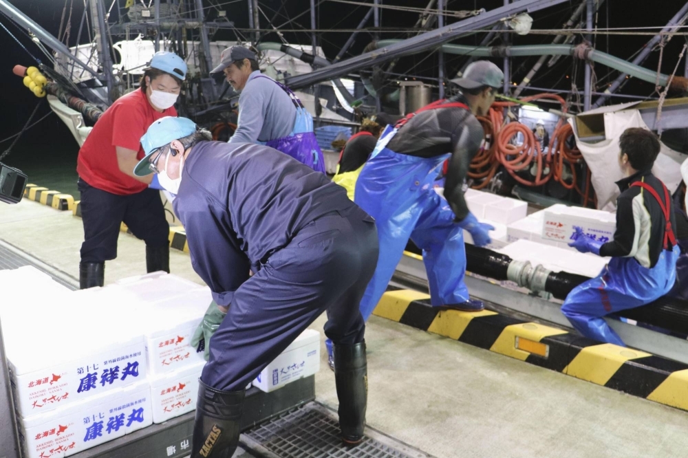 Saury are unloaded at a port in Akkeshi, Hokkaido, this month.