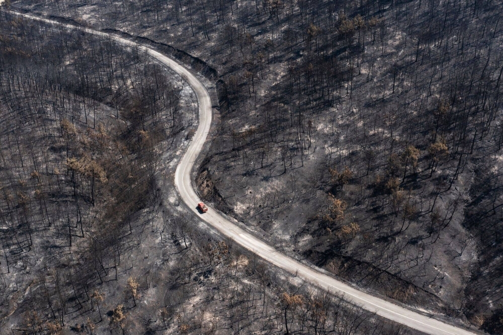 A fire department vehicle passes through a burnt forest following a wildfire in the National Park of Dadia, Alexandroupolis, Greece, on Tuesday.