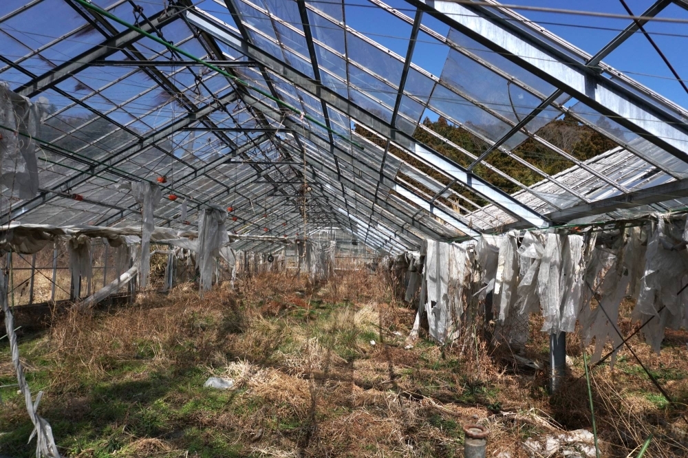 An abandoned greenhouse near Okuma, Fukushima Prefecture. The town is one of the two municipalities that is home to the crippled Fukushima No. 1 nuclear plant. The entire population of about 11,500 people was evacuated in March 2011 and most haven't returned. 