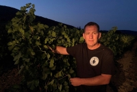Jerome Volle, president of wine-making cooperative "Cave Cooperative Viticole," poses in a vineyard during a night harvest in Valvigneres in the Ardeche department of France on Aug. 23. | REUTERS