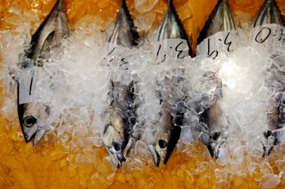 China's seafood imports from Japan dived 67.6% from a year earlier in August.