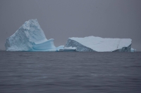 An iceberg floats near Two Hummock Island, Antarctica, in 2020. | REUTERS