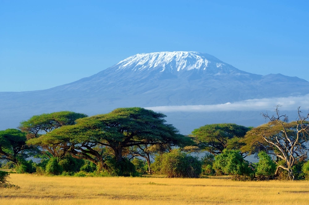 Rei Banno, 12, recently climbed Mount Kilimanjaro with her mother, accompanied by guides. She described having seen a “view I had never seen before.”