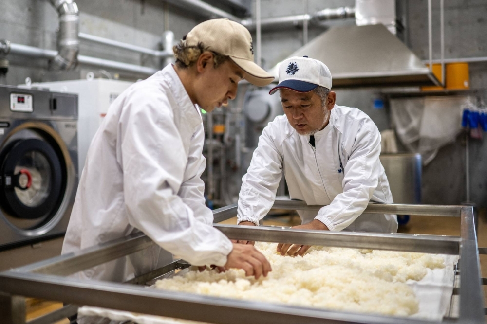 Sake master Daisuke Suzuki (right) and a staff member sort rice at his brewery in Namie, Fukushima Prefecture, on Sept. 1.