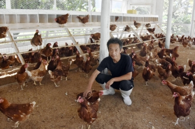 Yasuhiro Matsuzaki provides space for hens to roam freely, in consideration of the birds' welfare, at his farm in Ishioka, Ibaraki Prefecture.
