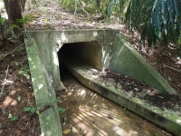 An underpass designed to let Iriomote cats safely cross a road on the Okinawa Prefecture island of the same name. | Iriomote Wildlife Conservation Center