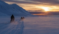 Scientists drive their snowmobiles across the arctic. | REUTERS