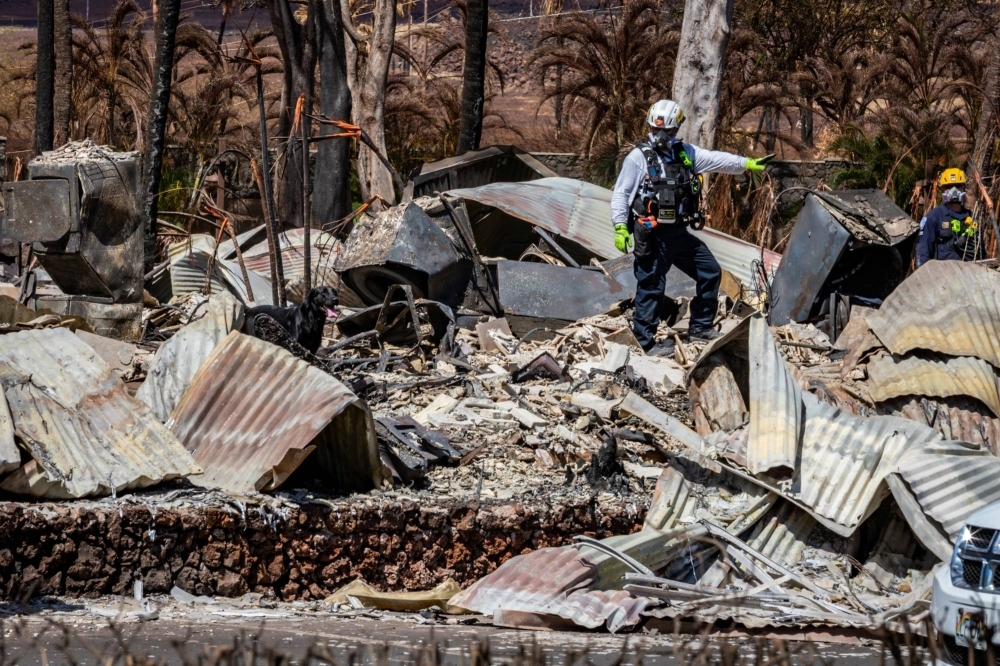 Combined search, rescue and recovery personnel conduct search operations of areas damaged by Maui wildfires in Lahaina, Hawaii