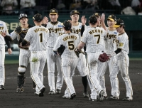 Hanshin Tigers celebrate after the team booked a spot in the Japan Series with a 4-2 win over the Hiroshima Carp on Friday at Koshien Stadium.  | Kyodo 