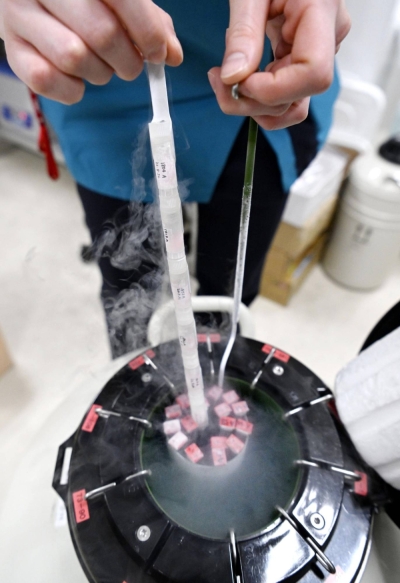 Frozen donor sperm at Hara Medical Clinic in Tokyo's Shibuya Ward