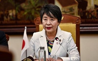 Foreign Minister Yoko Kamikawa has called for a halt in the fighting in Gaza for humanitarian purposes. 