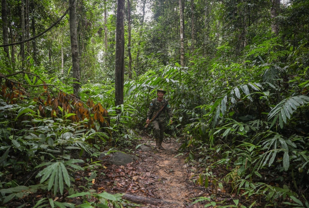 Phang Phorng, a Ministry of Environment ranger, brings up the end of patrol in the dense jungles of Virachey National Park.