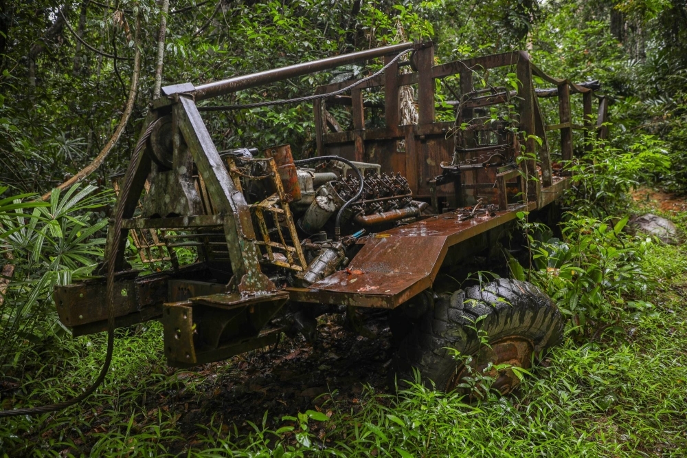 Nature reclaims a burnt logging truck in Virachey National Park, which spans the borders of Cambodia, Laos and Vietnam.