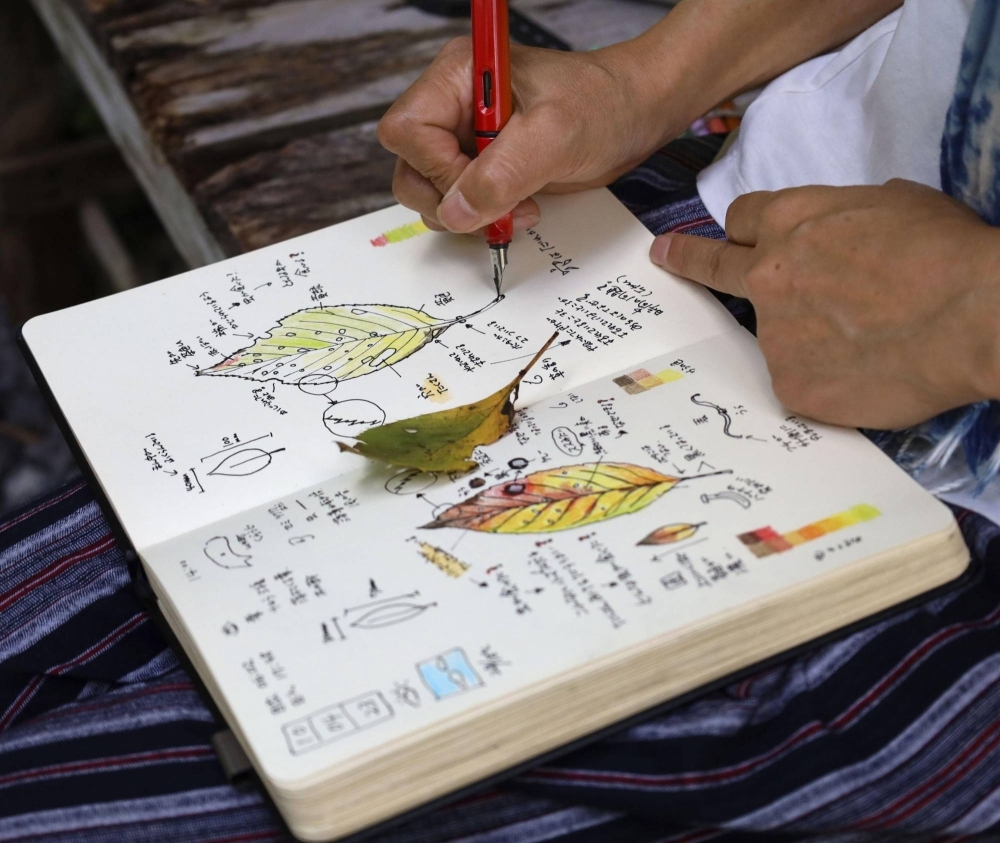 Nature journaling is a way of connecting to nature by organizing your observations, questions, explanations and discoveries in the pages of a notebook.