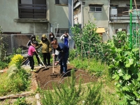 Members of the Minnanouen Kitakagaya community garden cultivate soil.  | Minnanouen
