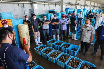 Buyers gather for an auction at Numanouchi fish port in the city of Iwaki, in Fukushima Prefecture, on Aug. 24.