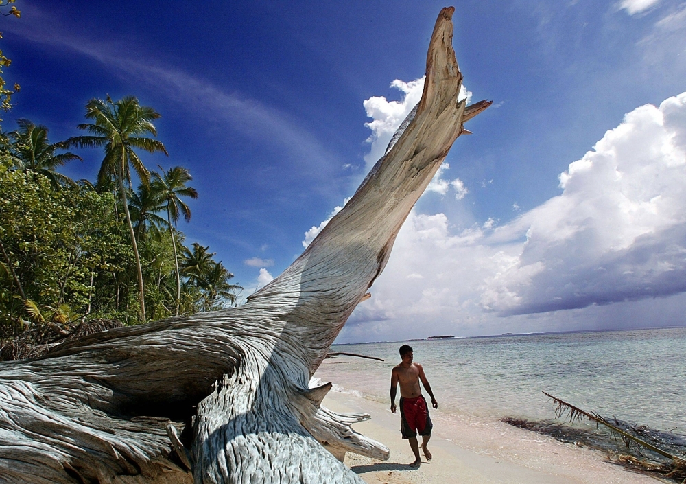 A man walks past a giant piece of driftwood on the shoreline of Tepuka, in the Funafuti atoll, in Tuvalu.