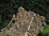 A deforested area in the middle of the Amazon forest in the municipality of Uruara, Para, Brazil, in 2021. | REUTERS