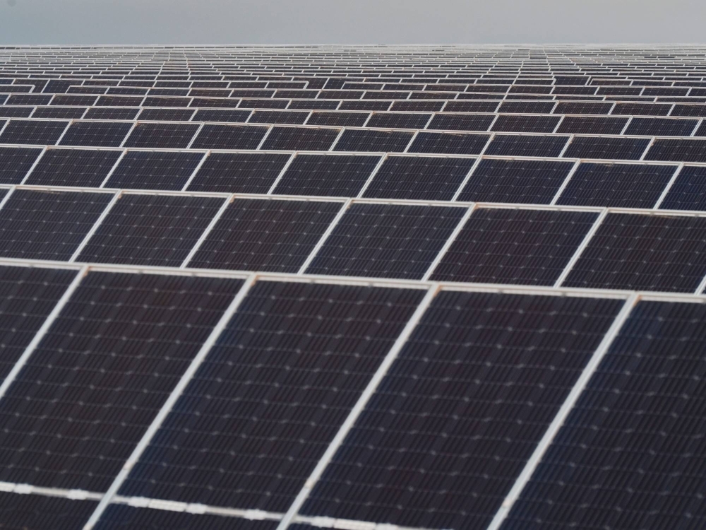 Bifacial photovoltaic solar panels at a solar plant in Texas. According to a study, net zero pledges are often directly undermined by the lobbying activities of the companies making them.