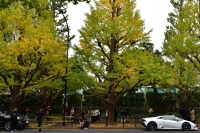 People walk and take photos under ginkgo trees at Meiji Jingu Gaien in Tokyo on Nov. 12. | Chris Russell
