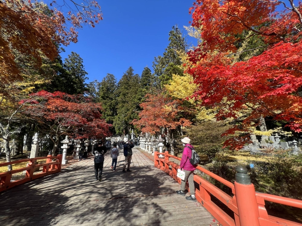 Туристы фотографируют осеннюю листву на вершине горы Койя 4 ноября.