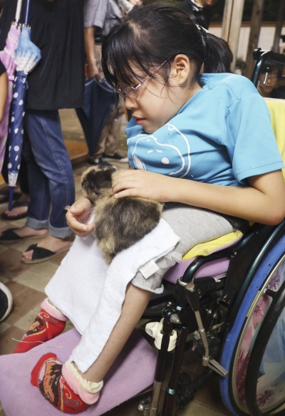 Miwa Takahashi pets a guinea pig at a Dreamnight at the Zoo event at the Chausuyama Zoo in Nagano in August.
