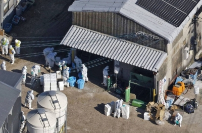Workers prepare to cull chickens at a farm in Kashima, Saga Prefecture, on Saturday after a case of bird flu was detected there.