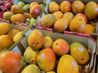 The best season for Australian mangoes is from November to February, different from that of rival producers in the opposite hemisphere. | Jiji