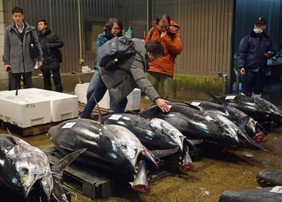 Overseas fish buyers participating in a business tour organized by the Japan External Trade Organization visit a fish market in the city of Aomori on Monday.