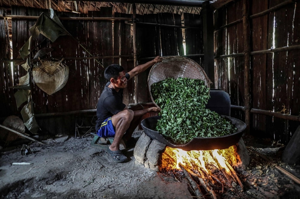 An Indigenous man cooks coca leaves in a settlement close to the Pira Parana River in the Vaupes province of Colombia, on Nov. 9.