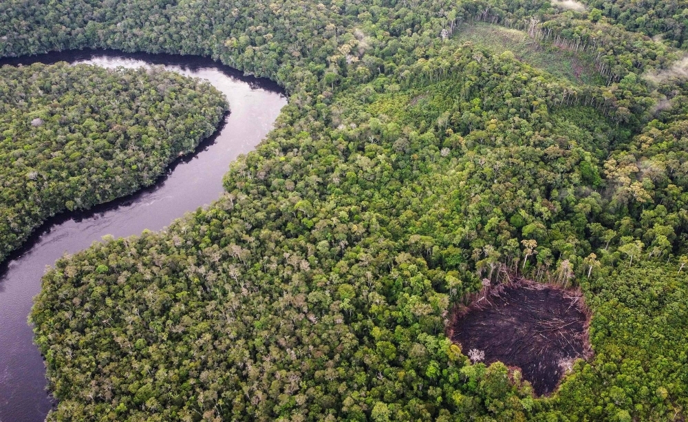 An aerial view show areas deforested to plant food and coca taken near the Pira Parana River in Colombia on Nov. 10.