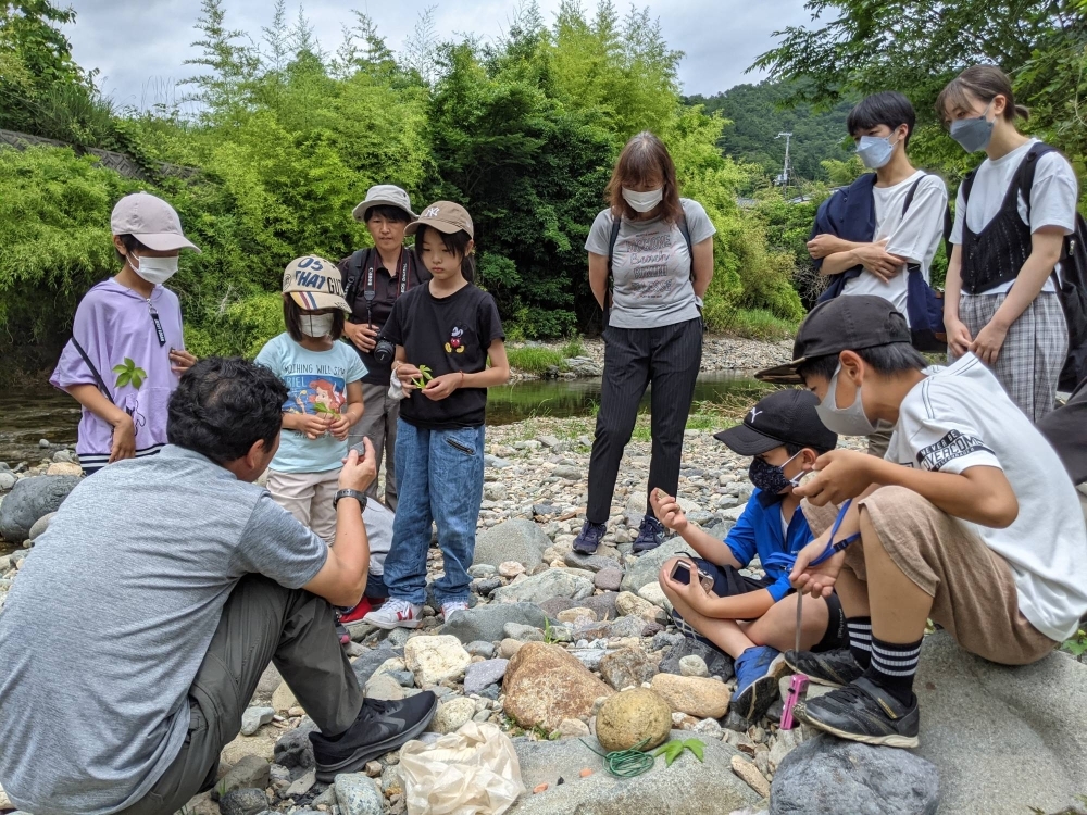 A field study by elementary school students takes place in the Izawa River basin in Shiso, Hyogo Prefecture.