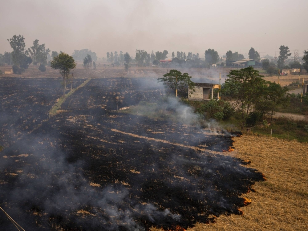 Smoke rises from burning rice stubble in the Patiala district of the Punjab in 2019.