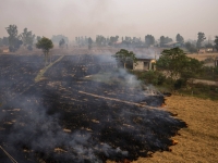 Smoke rises from burning rice stubble in the Patiala district of the Punjab in 2019. | Bloomberg