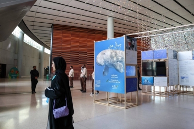 An exhibition on marine life at COP28 in Dubai. The conversation around oceans and climate change was not the main focus of the conference, despite the key role oceans play in absorbing carbon.